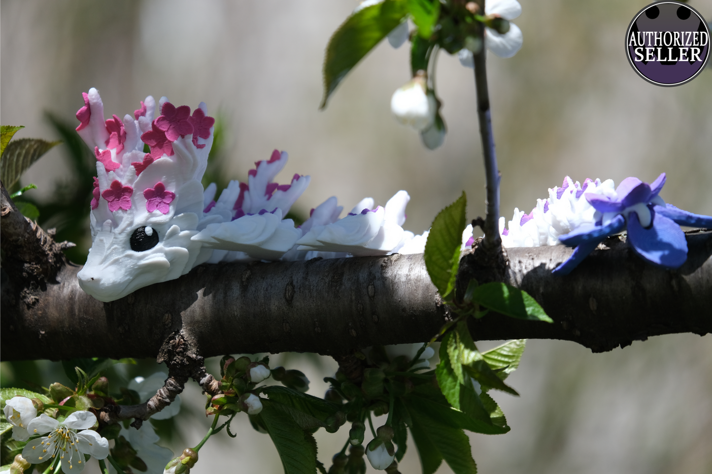 Baby Cherry  Blossom Dragon