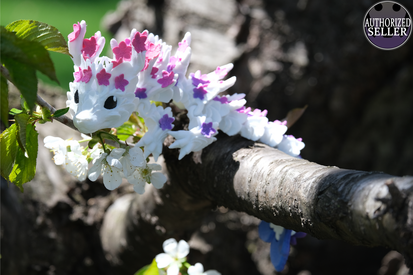 Baby Cherry  Blossom Dragon