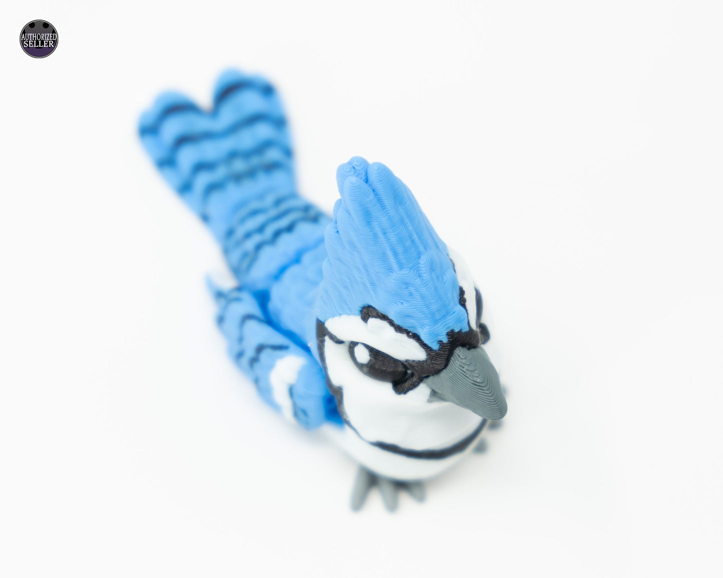 Blue Jay