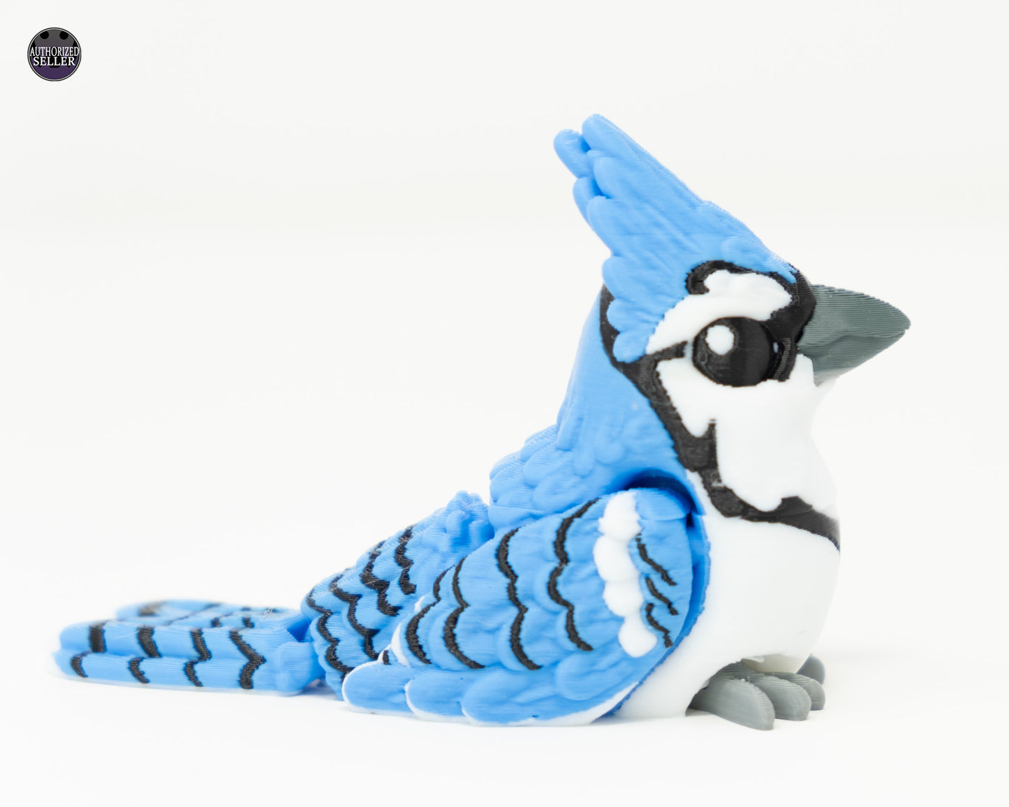 Blue Jay
